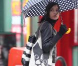 Famke Janssen fait du shopping avec son chien Licorice à New York le 17 octobre 2009