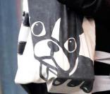 Famke Janssen fait du shopping avec son chien Licorice à New York le 17 octobre 2009