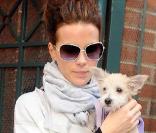 La très belle Kate Beckinsale à la sortie de la clinique vétérinaire de Bevery Hills avec Woofy, à Los Angeles, le 14 décembre 2009.