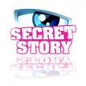 TV : Secret Story 2,  les castings ont déjà commencé ! 