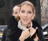 Céline Dion et René Angélil se baladent à New York avec leur nouveau petit chien. Décembre 2009