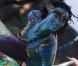 Des images d' Avatar , de James Cameron.