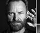 Sting n'est pas du genre à faire la sourde oreille, il passe à l'action !