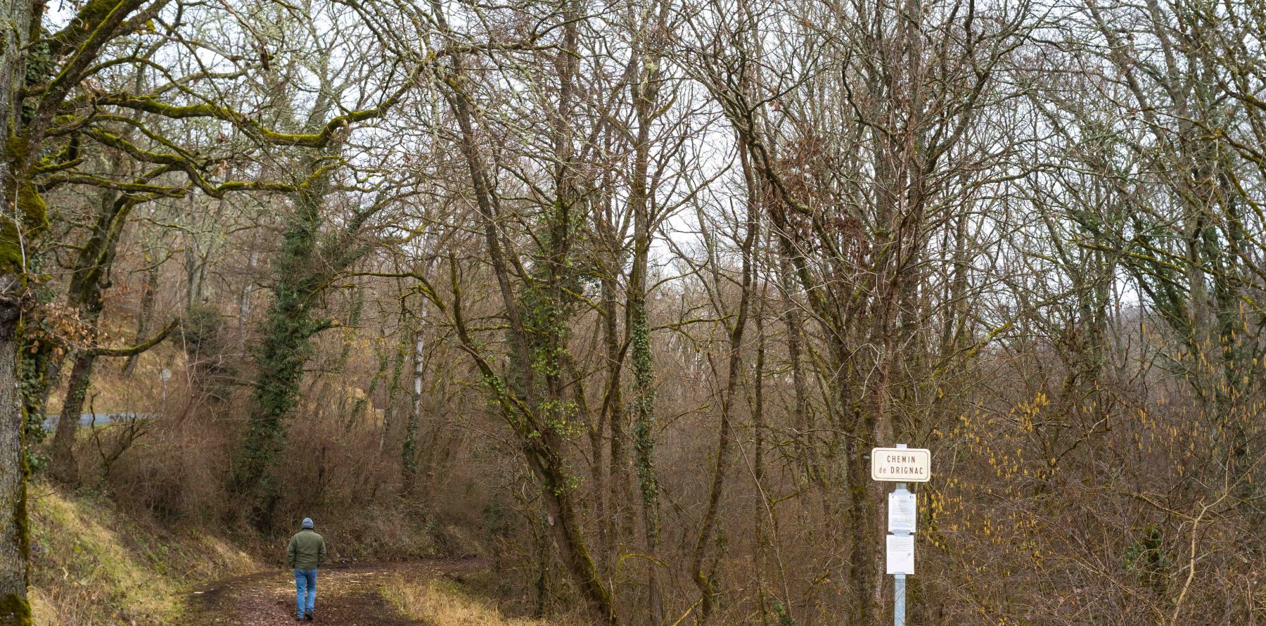 Disparition De Delphine Jubillar Cette M Thode Qui Va Finir Par