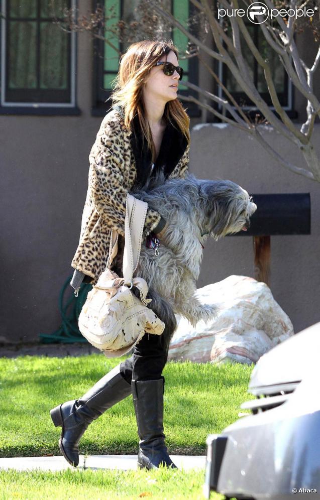 Rachel Bilson et son chien à Toluca Lake, le 9 mars 2010