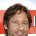 Californication : du sexe, des filles, du trash... et de la morale !