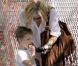 Kate Hudson et son fils Ryder, 6 ans, se promènent dans Soho le 30 avril 2010. Ryder est un pro de la trottinette !  