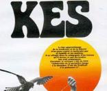 L'affiche de  Kes , de Ken Loach.