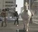 Des images extraites du clip All The Lovers de Kylie Minogue !