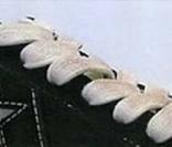 Marchez avec les chaussures de Kurt Cobain
