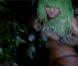 Nicki Minaj, après plusieurs mixtapes, devrait publier en 2010 son premier album, annoncé par les singles Massive Attack et Your Love .