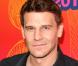 David Boreanaz à l'occasion de la soirée  "Fox All Star" , qui s'est tenue sur le Pier de Santa Monica, à Los Angeles, le 2 août 2010.