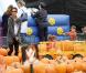 Halle Berry et sa fille Nahla Aubry vont acheter une citrouille pour Halloween chez Mr. Bones Pumpkin Patch à Los Angeles le 21 octobre 2010