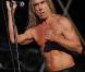 Iggy Pop s'affiche sur votre poitrine...