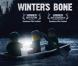 L'affiche en Lego de  Winter's Bone , nominé à l'Oscar du meilleur film lors de la cérémonie des Oscars, qui se tiendra le 27 février 2011.