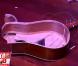 Justin Bieber casse une guitare comme une vraie rockstar dans le 6/9 de NRJ avec Nikos Aliagas, Karine Ferri et Mustapha El Atrassi