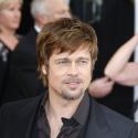 Brad Pitt : une maison écolo à 14 millions de dollars !