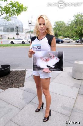 Pamela Anderson : so sexy au Capitol...