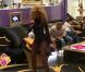 Afida Turner offre un concert privé dans Carré Viiip