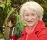 Helen Mirren lors du Chelsea Flower Show, à Londres, le 23 mai 2011.