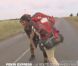 Karim se bat avec Jean-Pierre dans la bande-annonce de Pékin Express : la route des grands fauves diffusée le mercredi 15 juin 2011