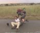 Karim se bat avec Jean-Pierre dans la bande-annonce de Pékin Express : la route des grands fauves diffusée le mercredi 15 juin 2011