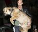 Ryan Gosling et son chien, à l'aéroport de LAX, repartent de Los Angeles, le 17 juin 2011.
