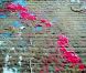 Coldplay met de la couleur en cascade dans le clip de Every teardrop is a waterfall , premier extrait d'un cinquième album attendu pour l'automne 2011.
