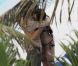 Tom Cruise et sa femme Katie Holmes à Miami le 17 juillet 2011