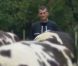Jean-Claude et ses vaches dans l'amour est dans le pré, saison 6 !