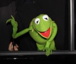 Kermit la Grenouille le 12 novembre 2011 à Los Angeles