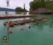 De sacrées épreuves dans Koh Lanta - Raja Ampat le vendredi 18 novembre 2011 sur TF1