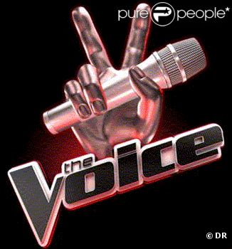  The Voice , en 2012 sur TF1.