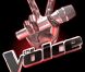 The Voice : Le jury sera composé de Florent Pagny, Sharleen Spiteri et...