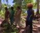  L'épreuve d'orientation dans Koh Lanta 11, vendredi 16 décembre 2011, sur TF1 