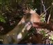  
 Une carte dans Koh Lanta 11, vendredi 16 décembre 2011, sur TF1 
  
 
