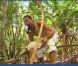  
 Teheiura dans Koh Lanta 11, vendredi 16 décembre 2011, sur TF1 
  
 