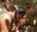  
 Teheiura dans Koh Lanta 11, vendredi 16 décembre 2011, sur TF1 
  
 
