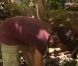 
 Gérard dans Koh Lanta 11, vendredi 16 décembre 2011, sur TF1 
  
 
