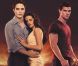 L'affiche de Twilight Chapitre 4 : Révélation 1ère partie.