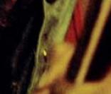 Dormez chez Bob Marley !