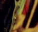 Dormez chez Bob Marley !