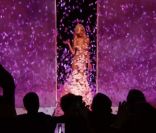 Zahia Dehar : la vidéo du défilé du 25 janvier 2012