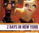 Affiche du film 2 Days in New York de Julie Delpy