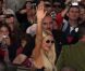 Paris Hilton arrive sur le plateau du  Grand Journal , à Cannes, le samedi 19 mai 2012.