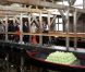 La princesse Maxima des Pays-Bas à la découverte du Musée Broekerveiling du village de Broek op Langedijk, le 5 juillet 2012. Il s'agit de l'ancien site des ventes aux enchères de fruits et légumes, acheminés par barque, jusqu'en 1973. Une pratique que le village fait ponctuellement revivre.