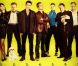 Colin Farrell est l'un des  Seven Psychopaths  de Martin McDonagh.