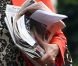 EXCLU : Dans les rues de Paris le 5 septembre 2012, Ségolène Royal avec  L'Ex  sous le bras, le livre que Sylvain Courage du  Nouvel Observateur  a consacré au trio Royal-Hollande-Trierweiler.