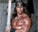 Arnold Schwarzenegger dans  Conan le barbare  (1982).