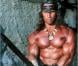 Arnold Schwarzenegger dans  Conan le barbare  (1982).